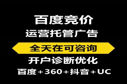 专业SEM托管服务，案例解读SEO优化策略